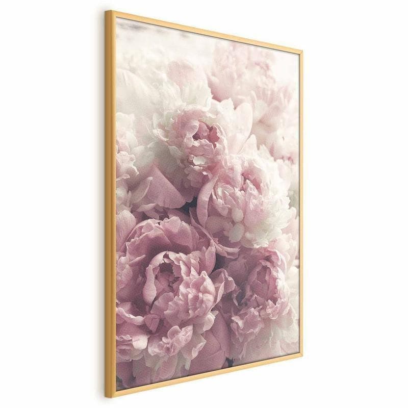 Poster - Delicate Peonies - 18