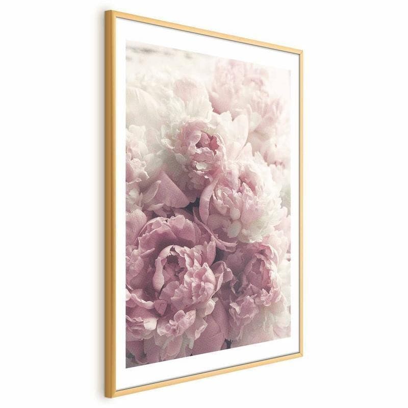 Poster - Delicate Peonies - 19