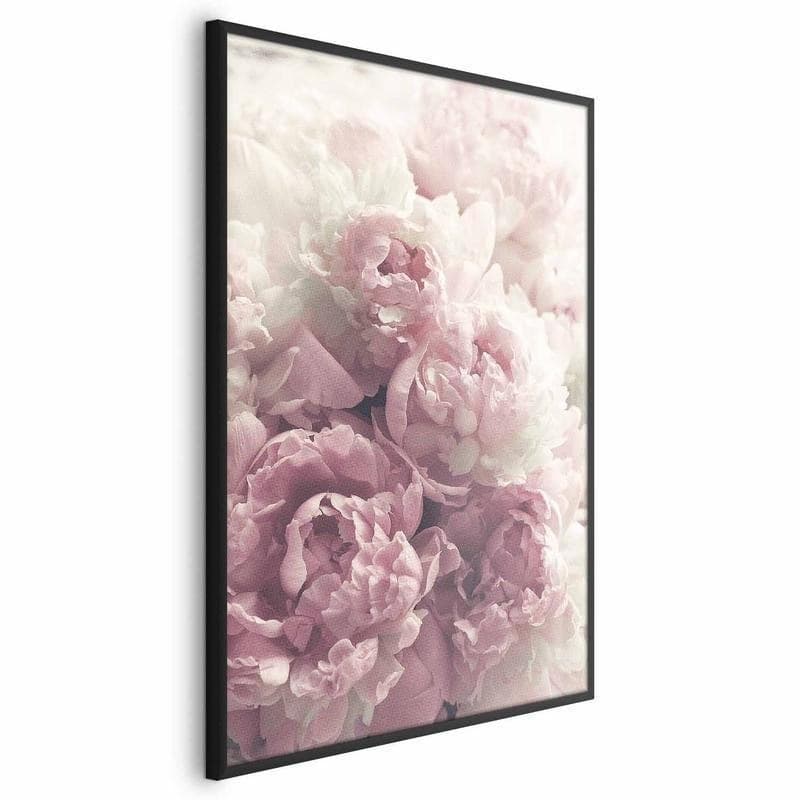 Poster - Delicate Peonies - 2