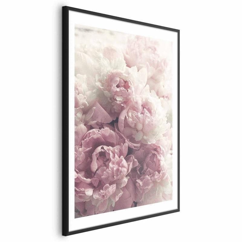 Poster - Delicate Peonies - 5