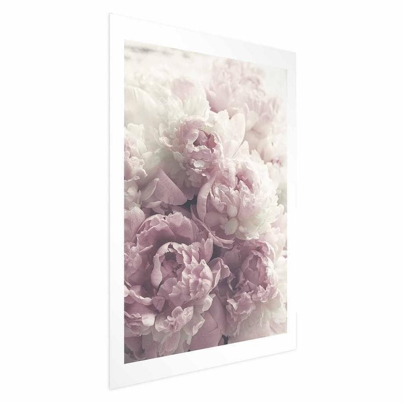 Poster - Delicate Peonies - 6