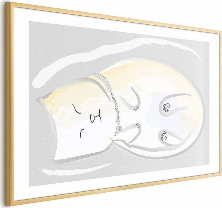 Poster - Sleeping Kitten - 4