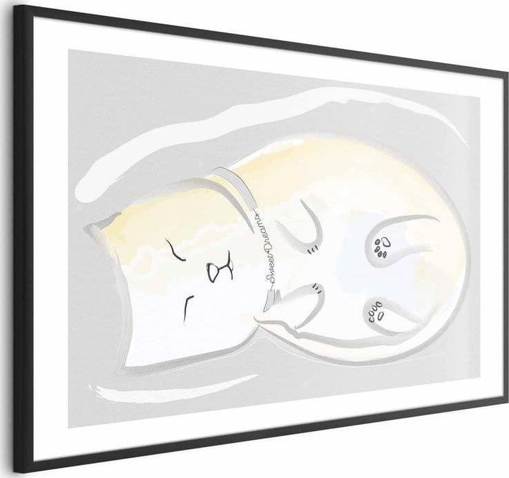 Poster - Sleeping Kitten - 5