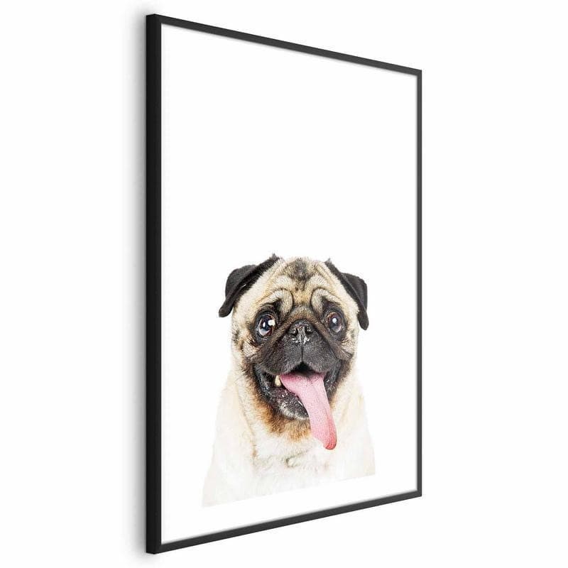 Poster - Pug - 20