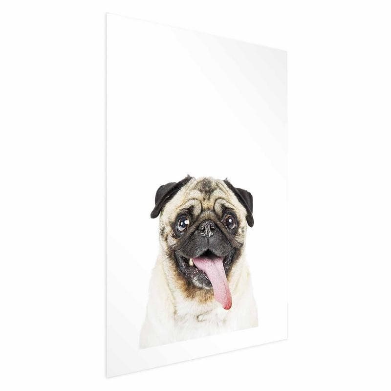 Poster - Pug - 16