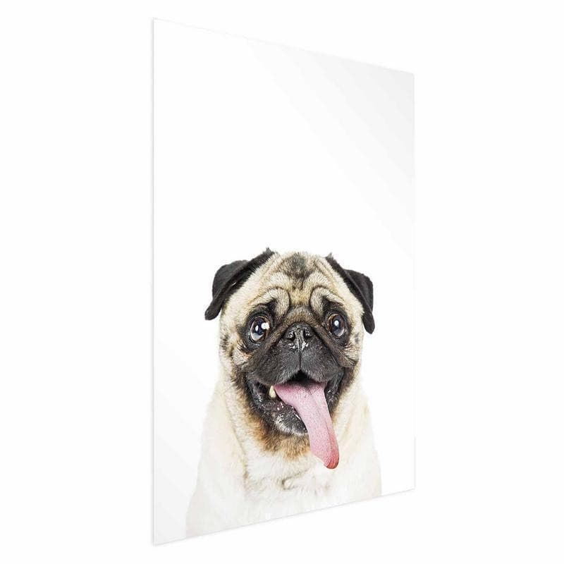 Poster - Pug - 15