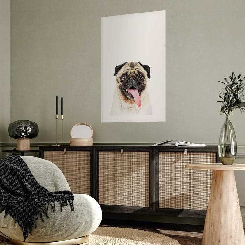 Poster - Pug - 12