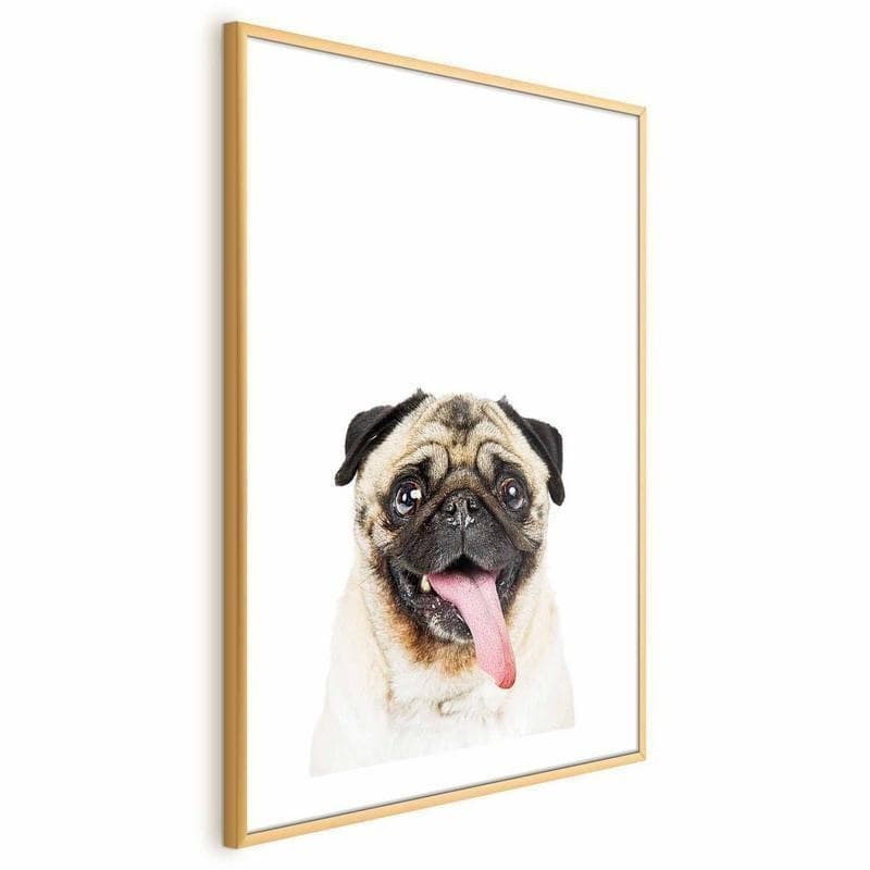 Poster - Pug - 4