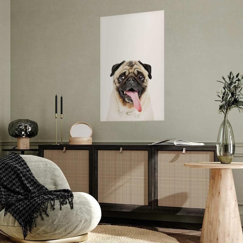 Poster - Pug - 7