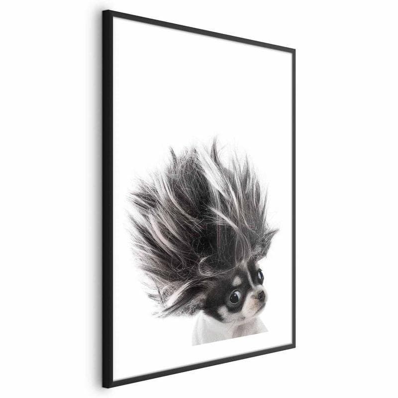 Poster - Chihuahua - 5