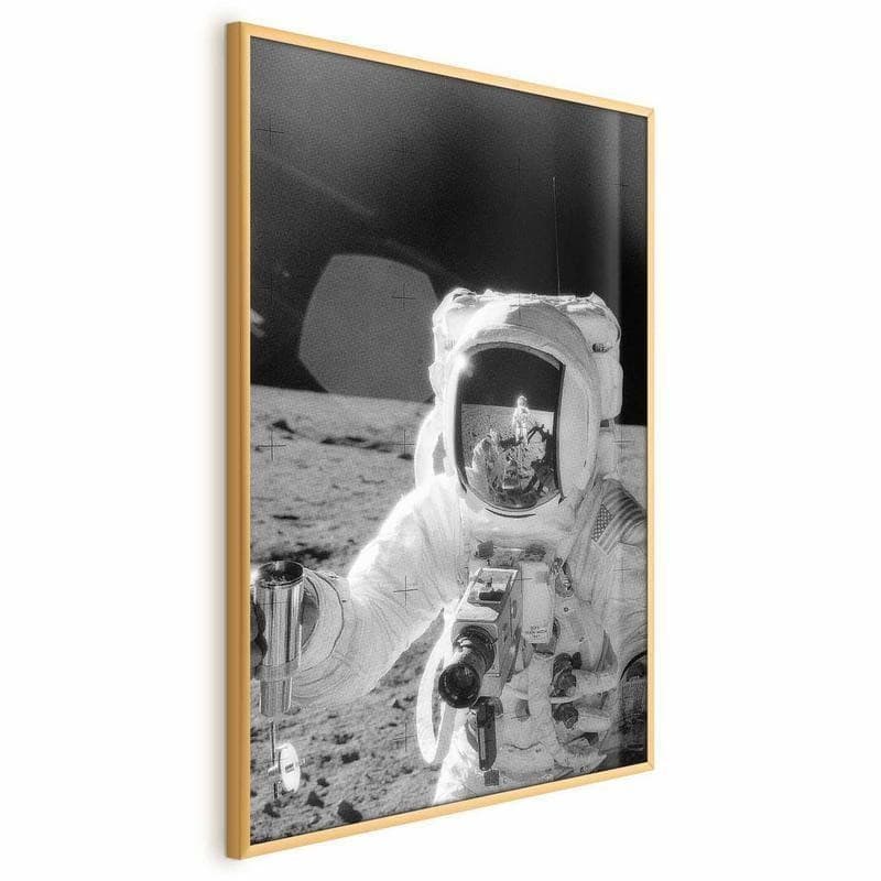 Poster - Profession: Astronaut - 18