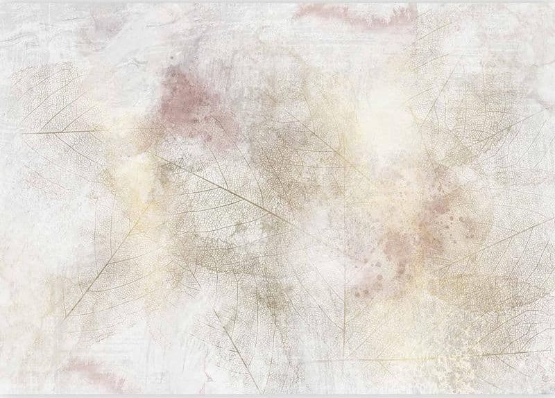 Carta da parati - Summer memory - abstract background with shadow of dried leaves - 4