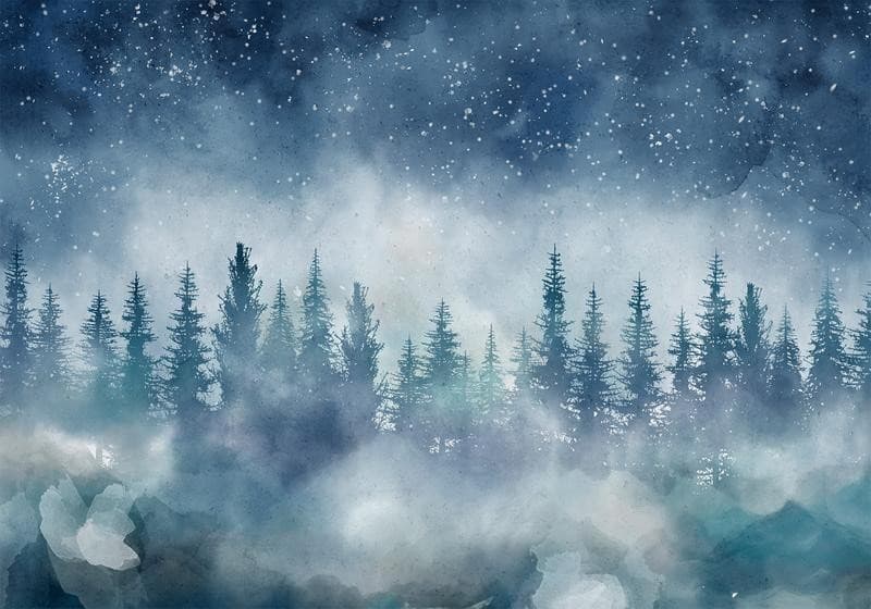 Carta da parati - Night landscape - landscape of a misty forest at night with a starry sky - 6