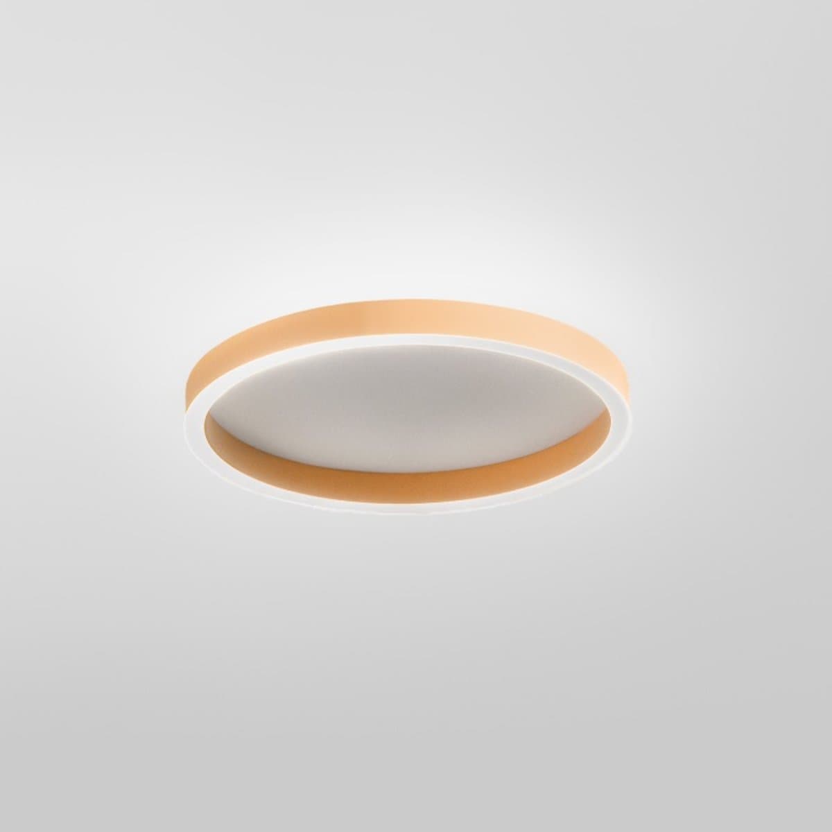 Plafoniera moderna Gea Luce AELA PP FAEPP1 LED alluminio metacrilato biemissione - 2