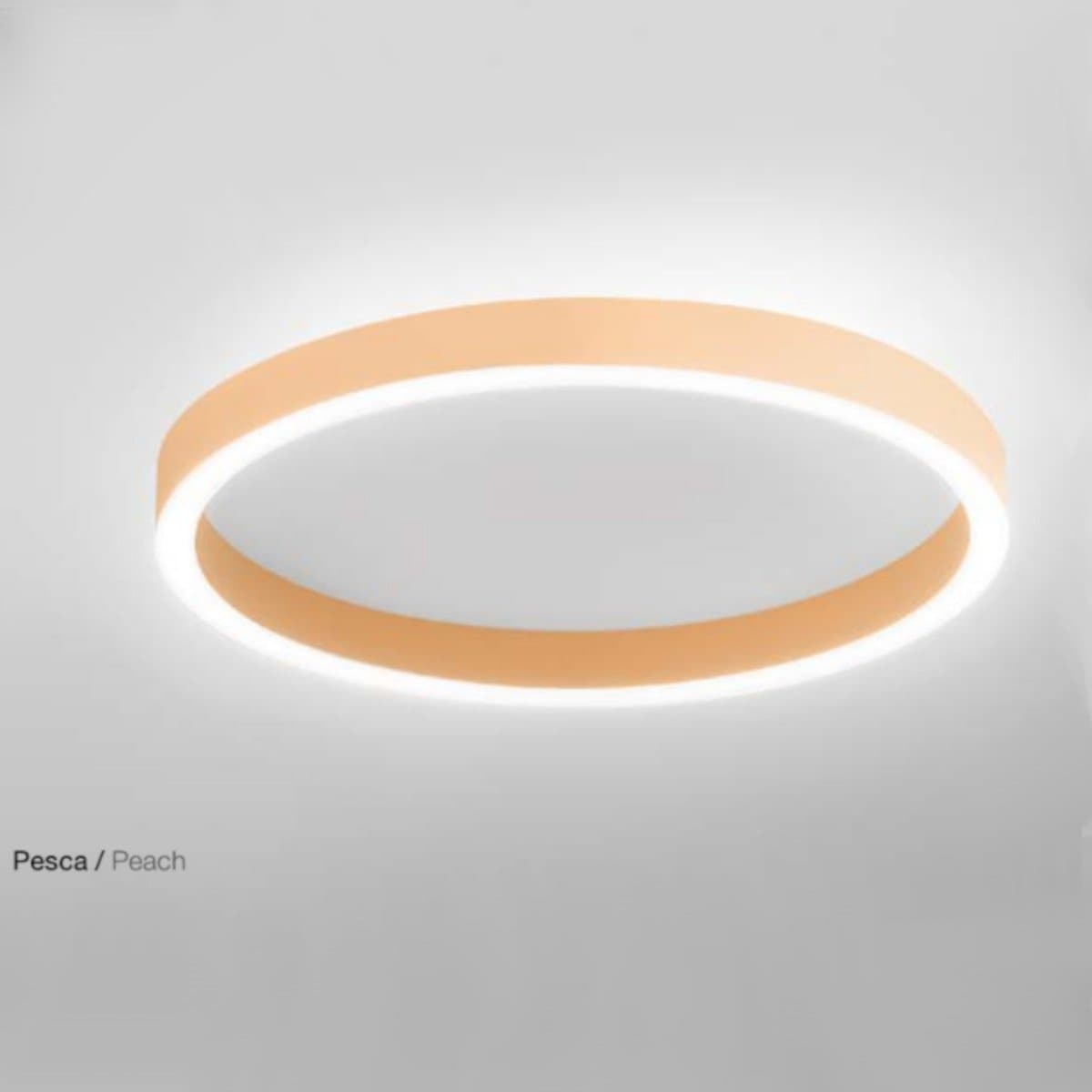 Plafoniera moderna Gea Luce AELA PM FAEPP2 LED Pesca alluminio metacrilato - 2