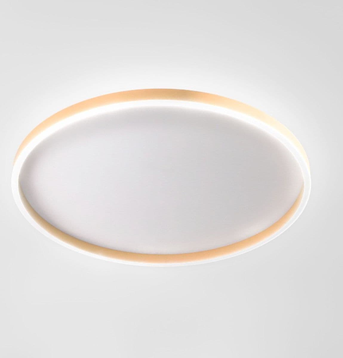 Plafoniera moderna Gea Luce AELA PG FAEPP3 LED pesca alluminio metacrilato - 2