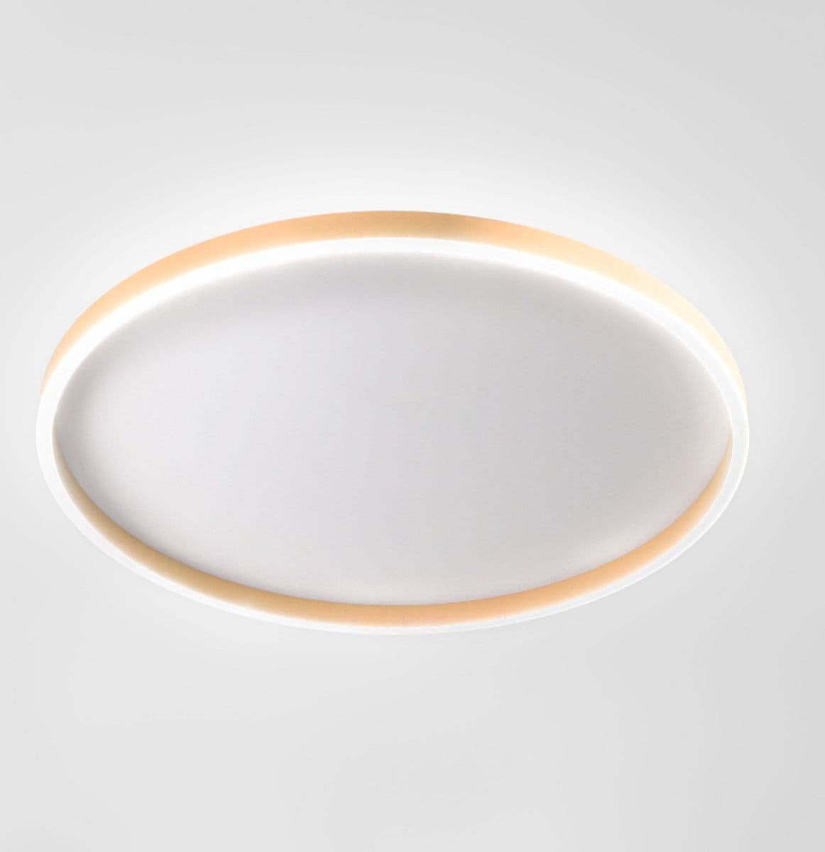 Plafoniera moderna Gea Luce AELA PG FAEPP3 LED pesca alluminio metacrilato - 2