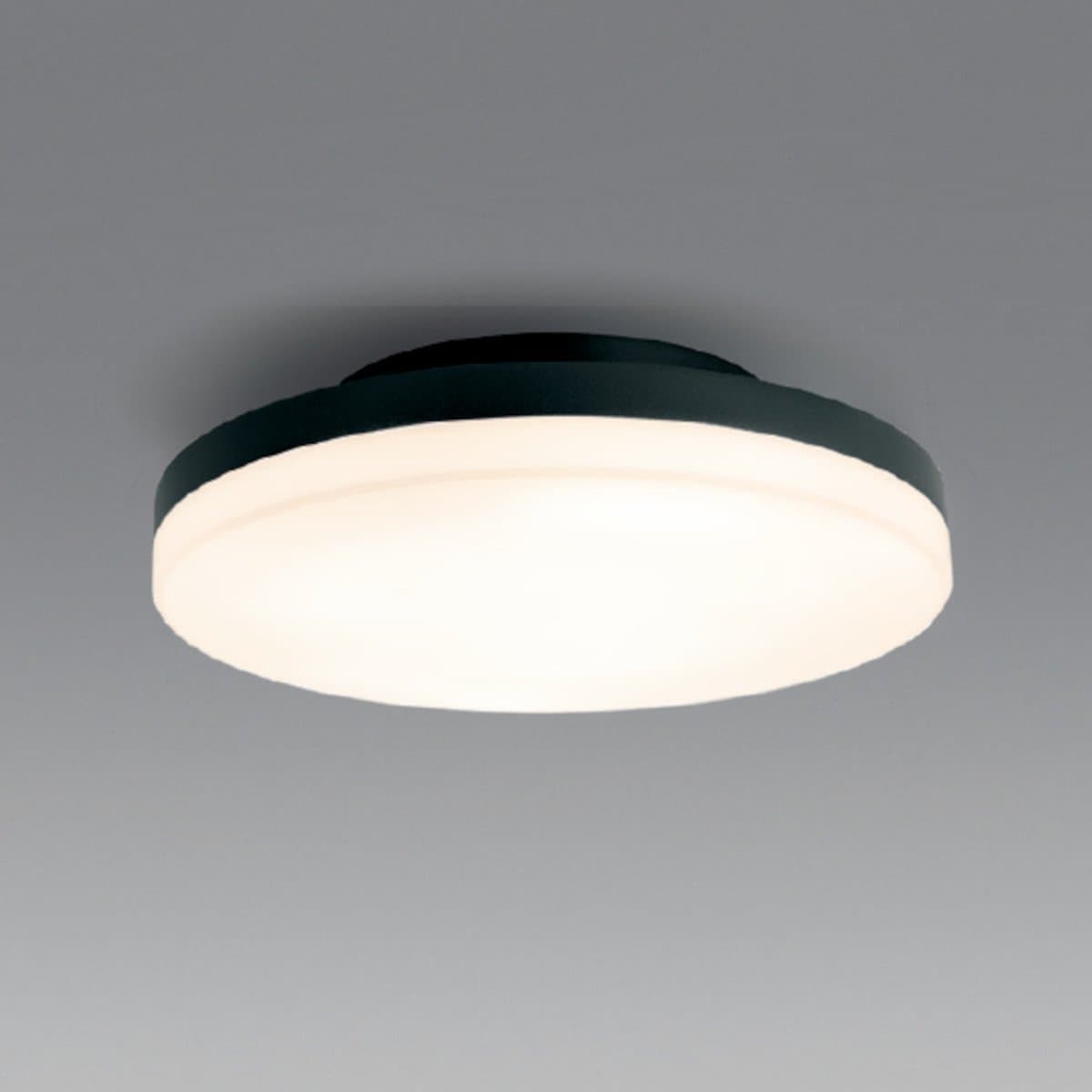 Plafoniera moderna Gea Led GPL360 LED IP65 alluminio policarbonato - 2