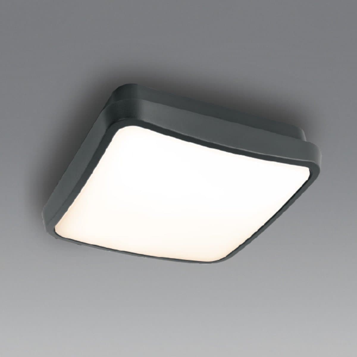 Plafoniera moderna Gea Led GPL370 LED IP65 alluminio policarbonato - 4