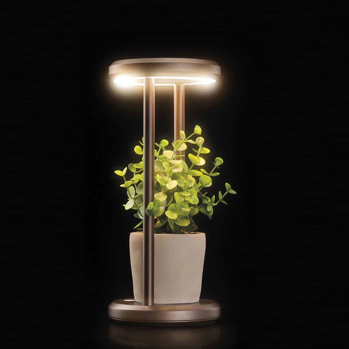 Lampada portatile Promoingross CLEPSY LED CCT TOCH dimmerabile ricaricabile USB - 11