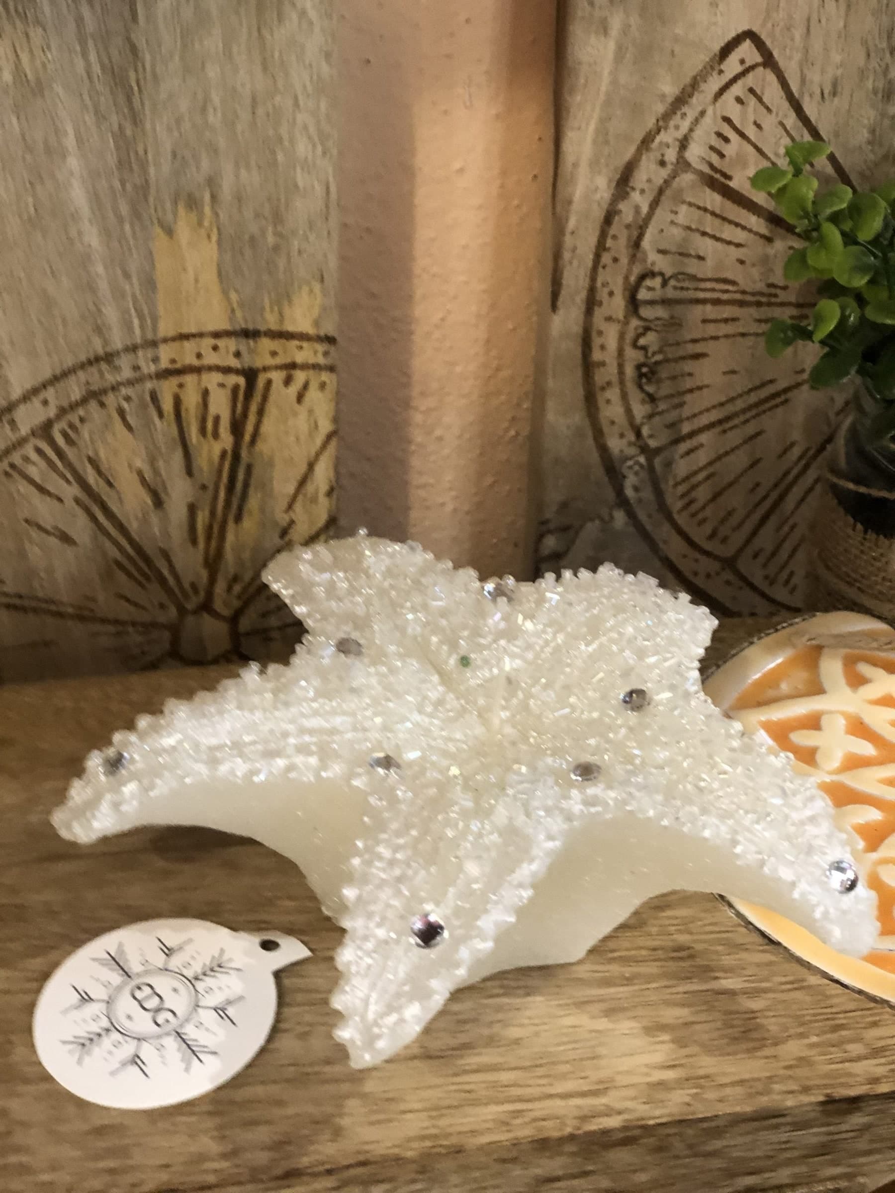 Candela "Stellamarina" decorazione natalizia h 6 cm ø 15 cm - 2