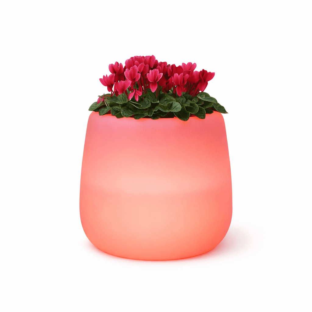 Vaso "Goccia Bright" struttura in polietilene con linee sinuose per interni ed esterni - 15
