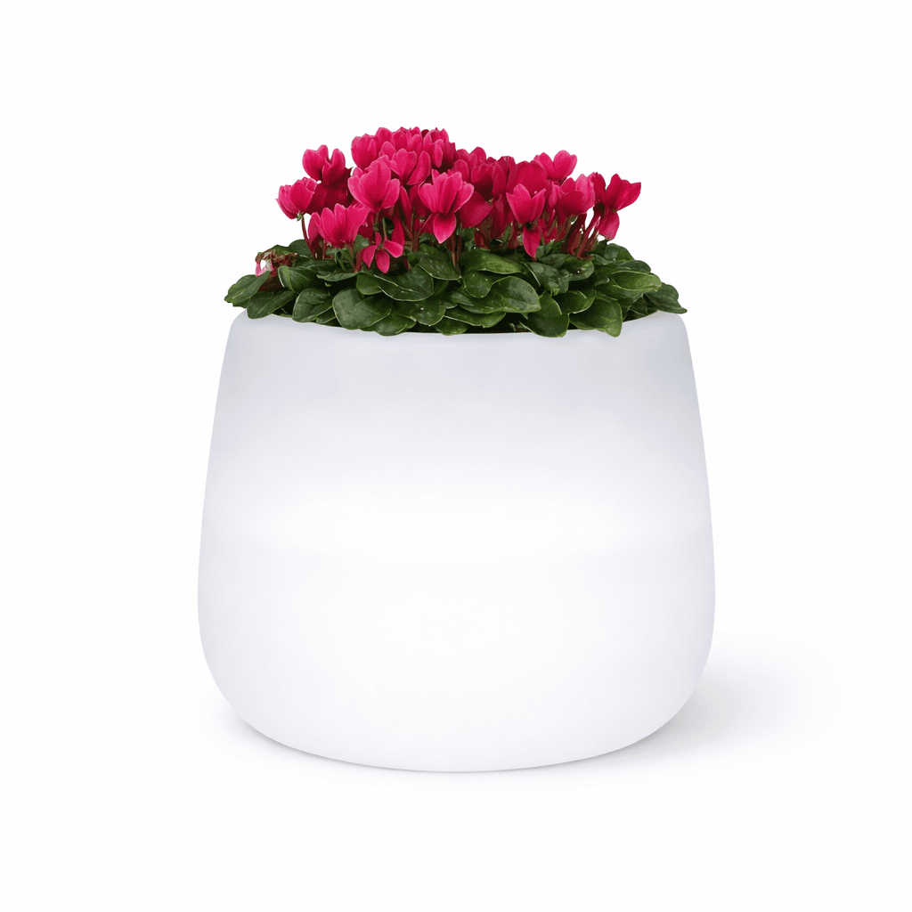 Vaso "Goccia Bright" struttura in polietilene con linee sinuose per interni ed esterni - 14