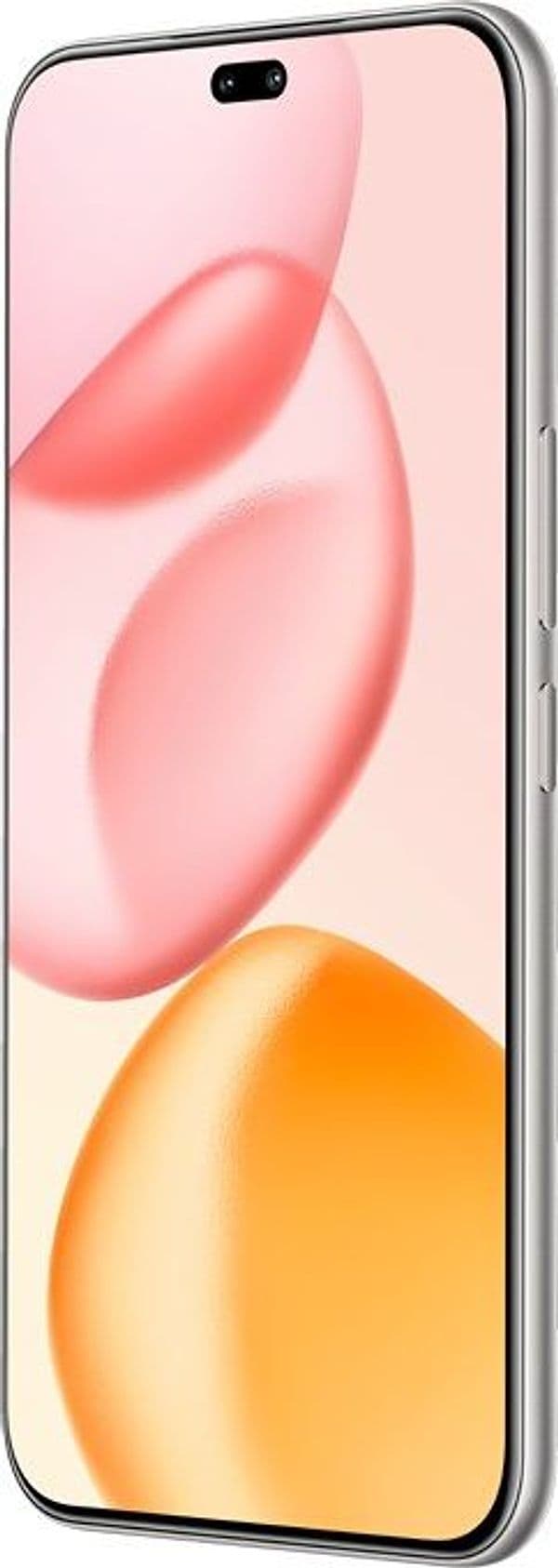 Honor 400 Pro 17 cm (6.7") MagicOS 9.0 5G 12 GB 512 GB 5300 mAh Grigio - 2