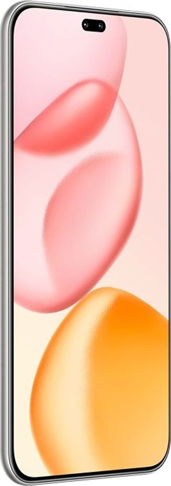 Honor 400 Pro 17 cm (6.7") MagicOS 9.0 5G 12 GB 512 GB 5300 mAh Grigio - 3