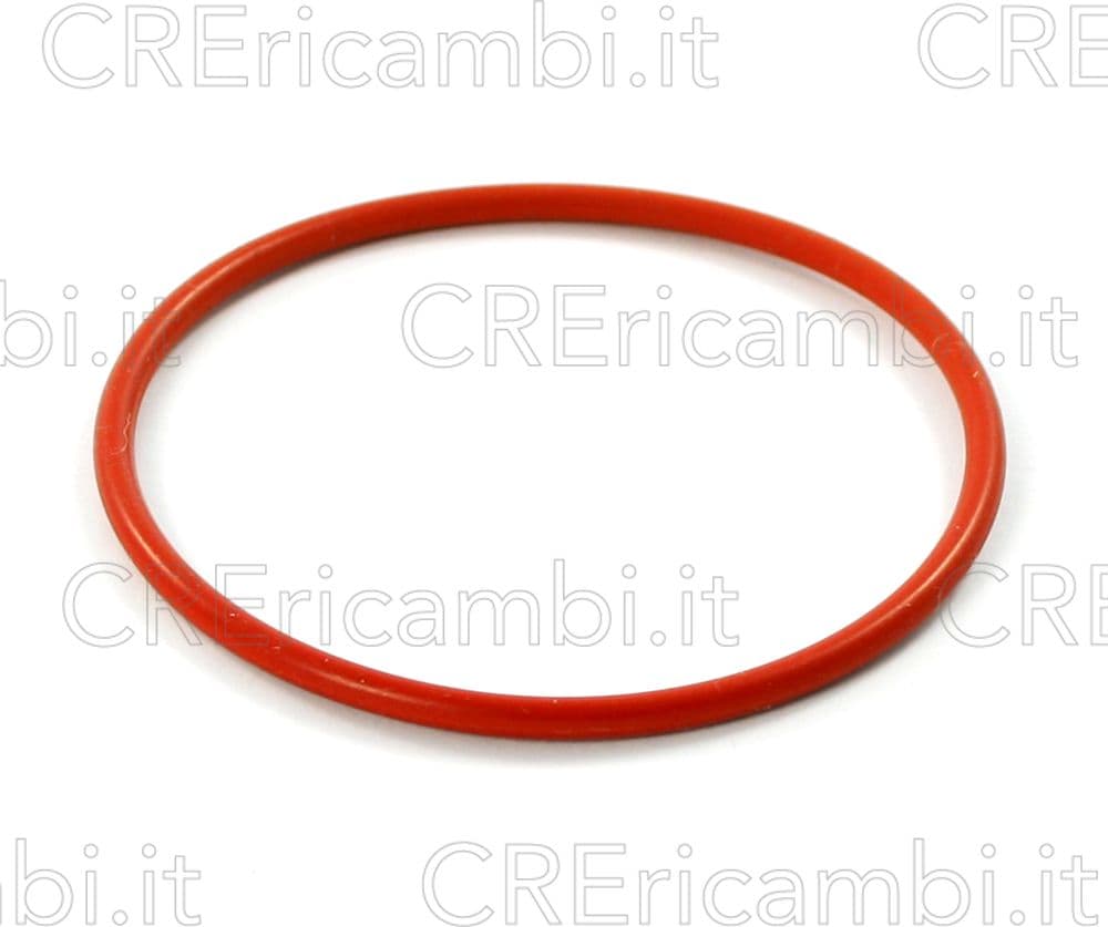 Guarnizione 59mm Caldaia in Alluminio Via Veneto, Poemia Saeco - 2