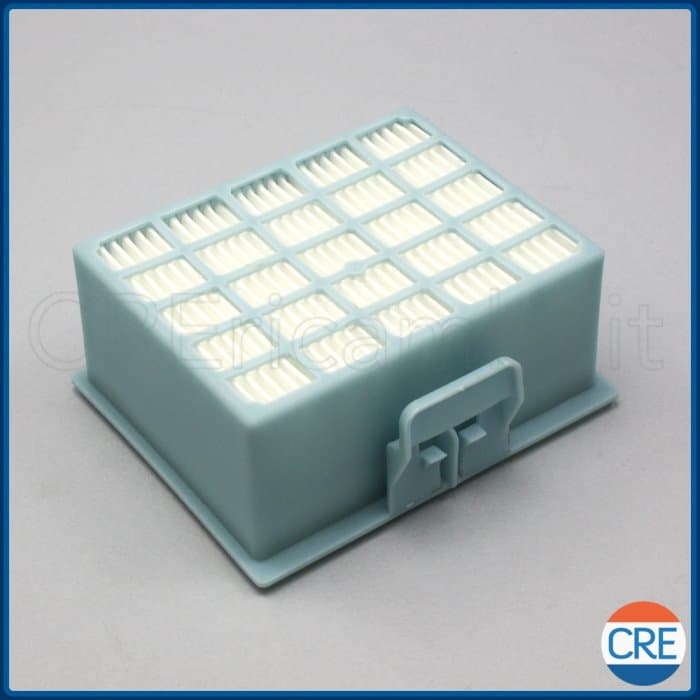 Filtro Hepa Lavabile Compatibile con BGL25, BGL35, BGL3, BGL4, BGLS4, SGS55