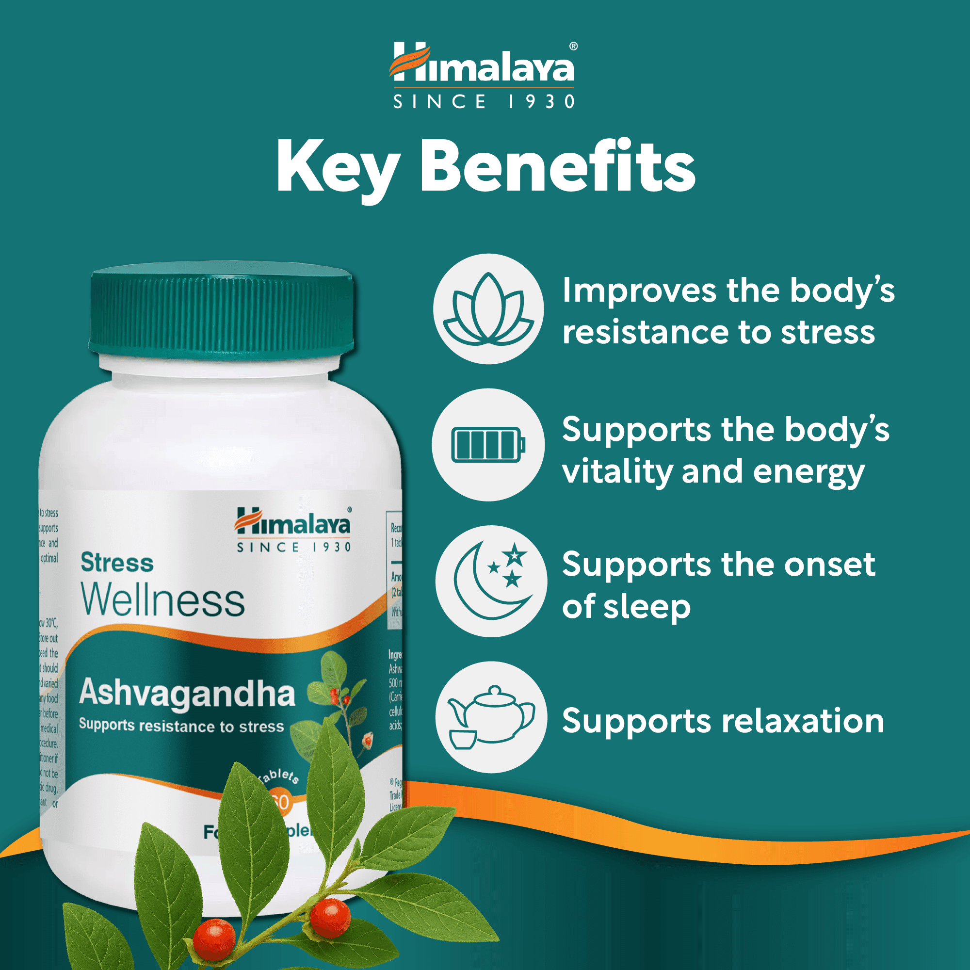 Himalaya Stress Wellness Ashvagandha - 60 Tablets - 3