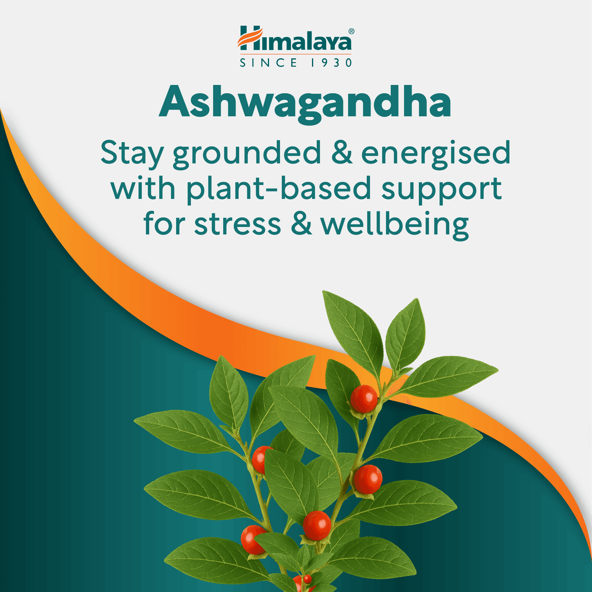 Himalaya Stress Wellness Ashvagandha - 60 Tablets - 4