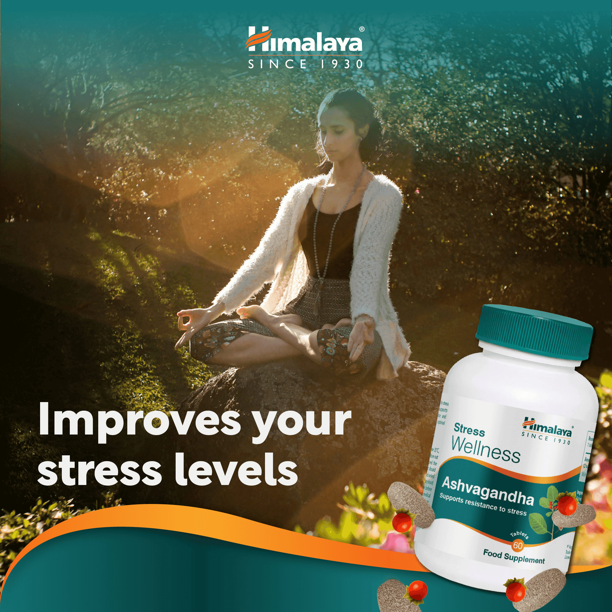 Himalaya Stress Wellness Ashvagandha - 60 Tablets - 5