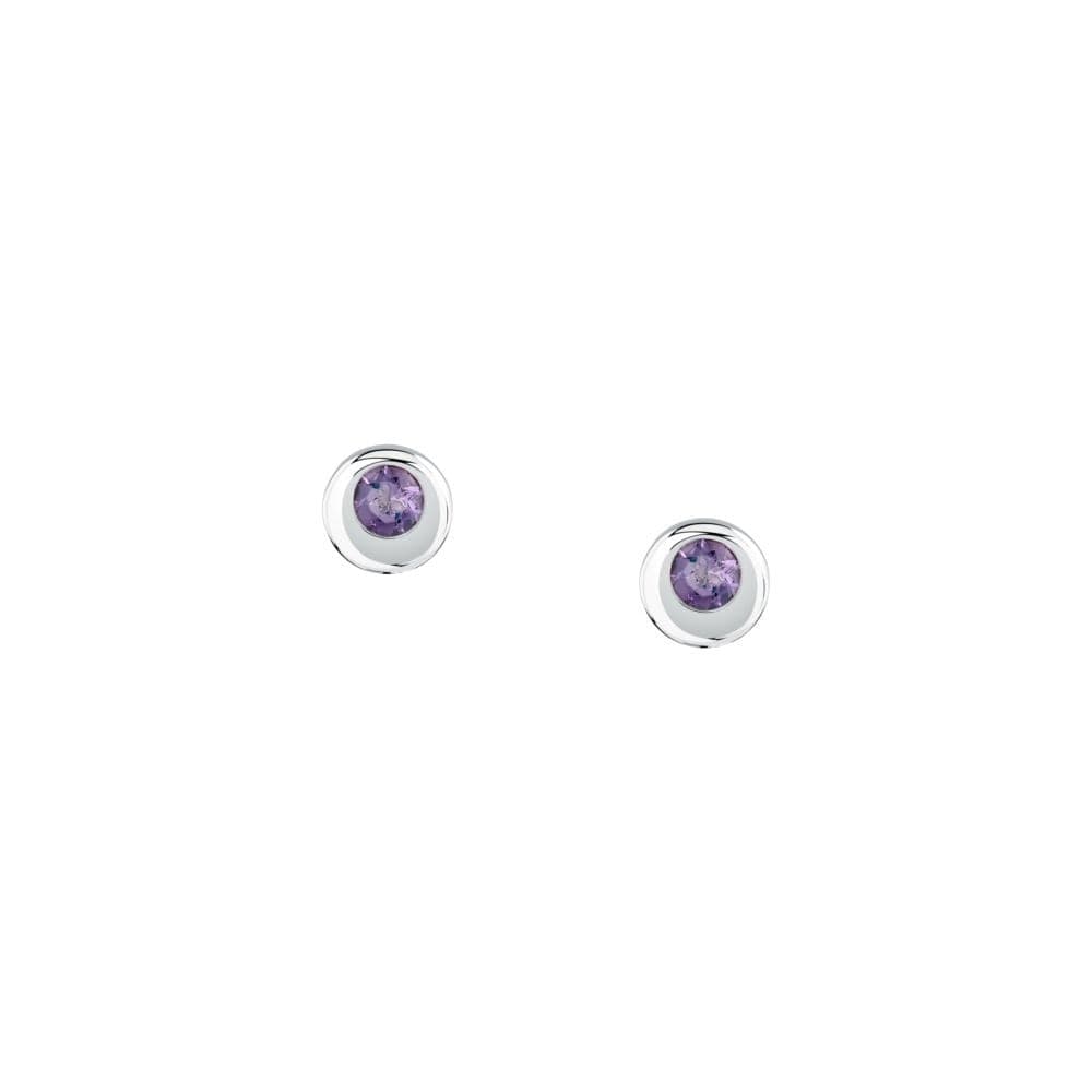 Morellato Tesori Eterni – Orecchini Donna Silver con Ametista (SAXN20) - 2