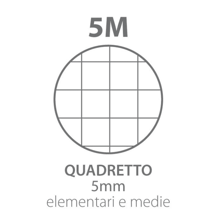 Blasetti - Ricambi Rinforzati A4 80 Gr 40fg rigatura 5M (2334) - 2