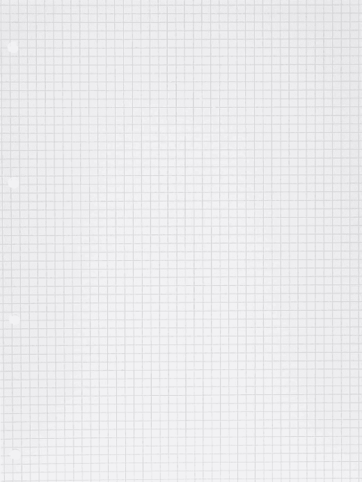 Blasetti - Ricambi Rinforzati A4 80 Gr 40fg rigatura 5M (2334) - 3