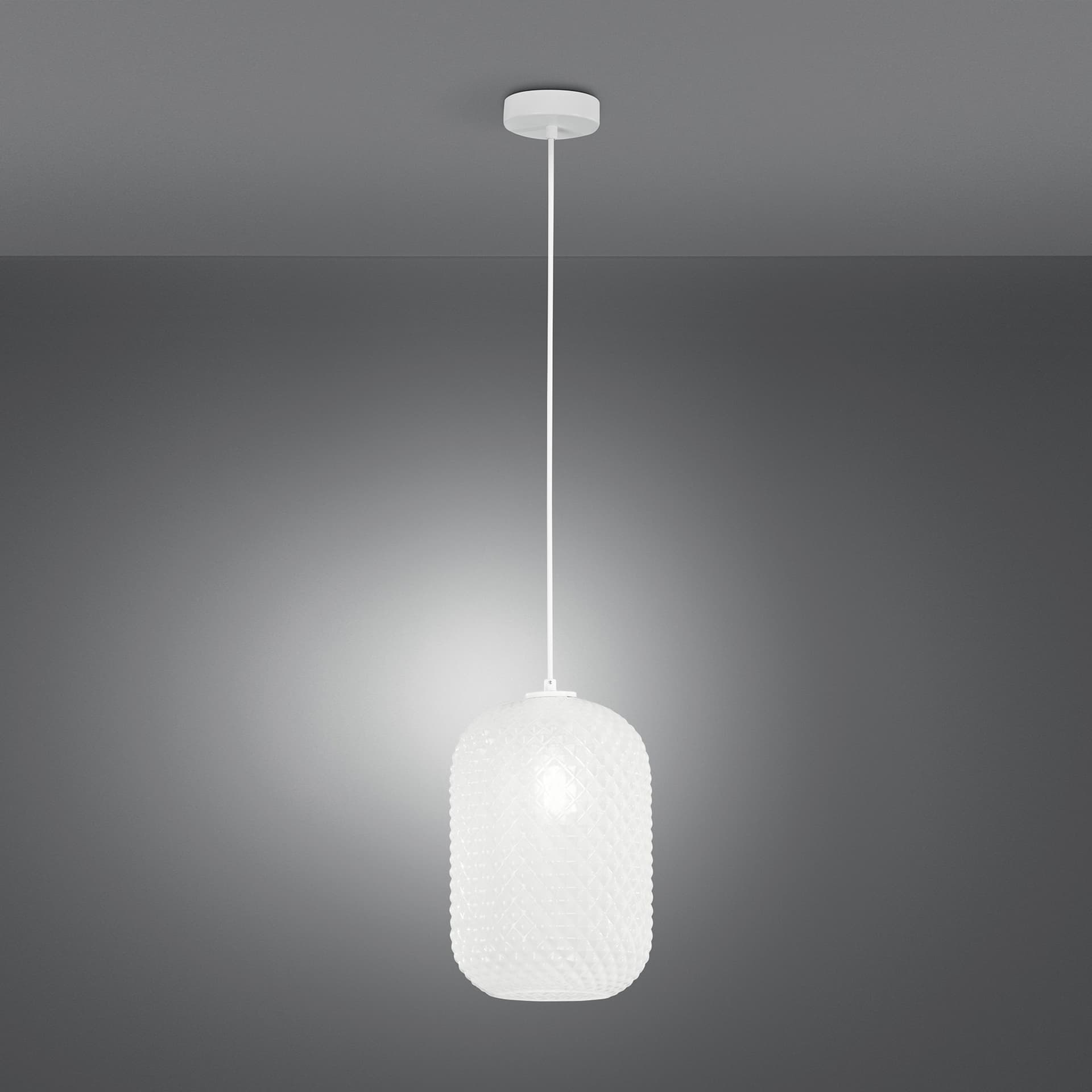 Sospensione Lampadario ovale design moderno in vari colori 1XE27 - 15