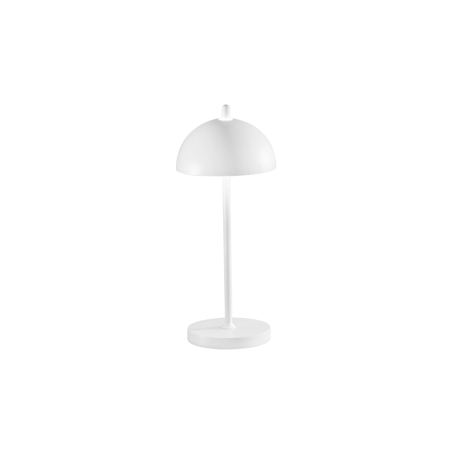 Lampada da tavolo ricaricabile Disponibile in 6 varianti LED Alta Luminosità IP44 - 6