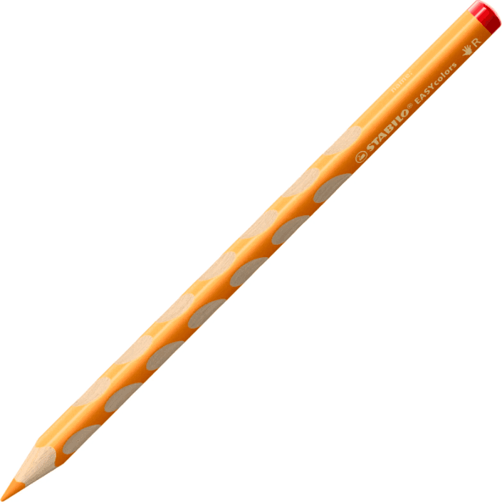 Stabilo - Matite colorate ergonomiche Easy Colors Astuccio da 12 colori + temperamatite - destrimani (332/12) - 2