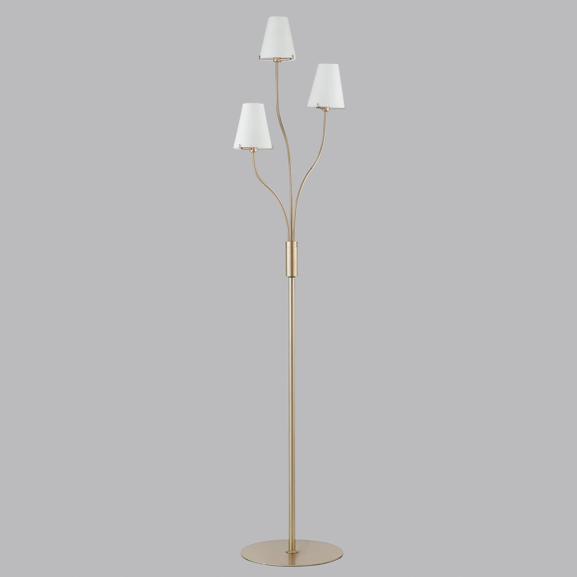 PIANTANA CANTO ORO/BIANCA 3XG9 38,5X158CM - 2
