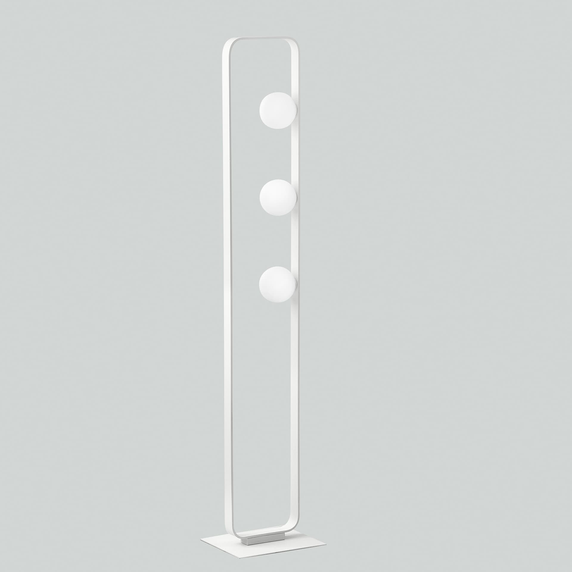 PIANTANA ROXY BIANCA 3XG9 28X12X140CM - 2