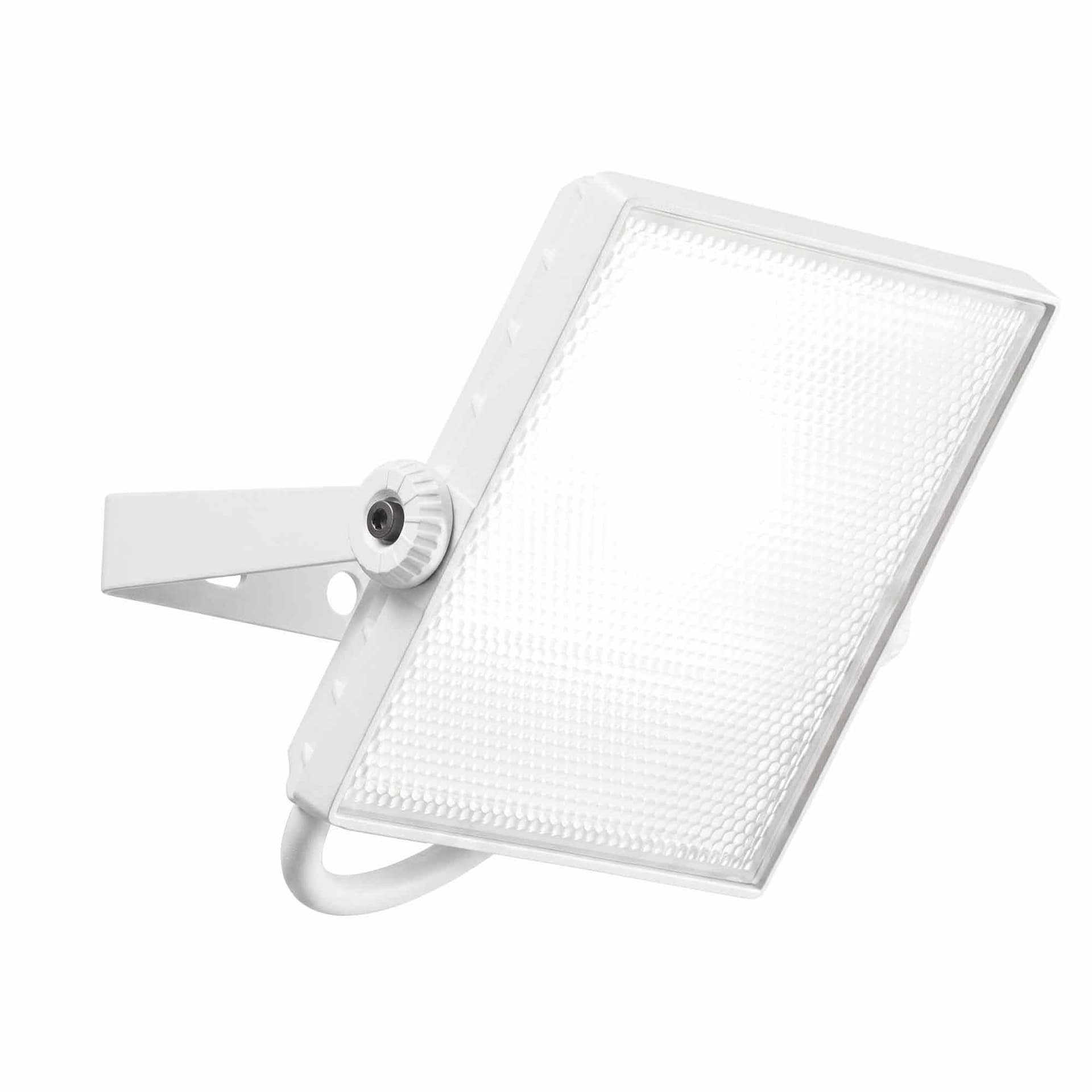 Proiettore Da esterno LED 20W Bianco o Argento IP65 - 4