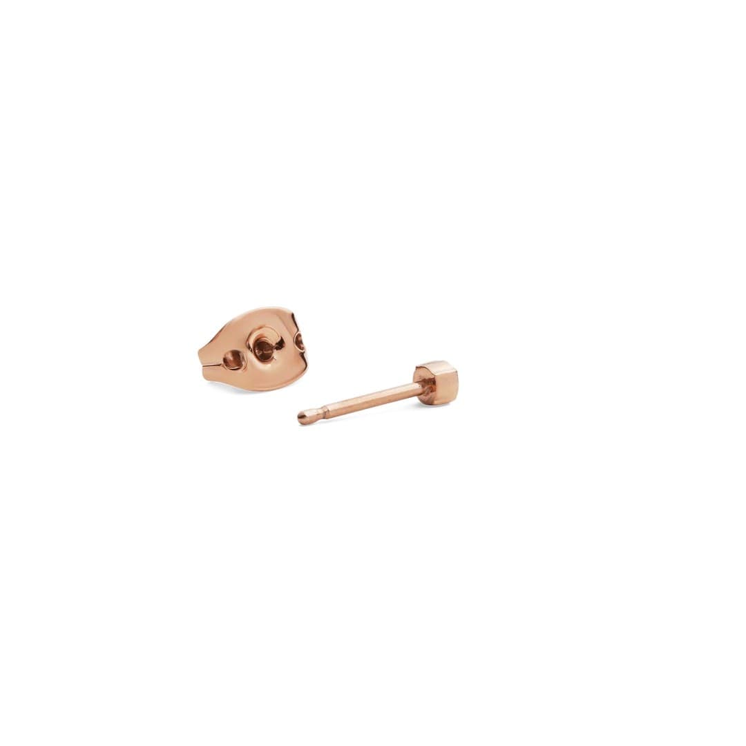 Daniel Wellington - Orecchino Crystal Stud Rose Gold - 3