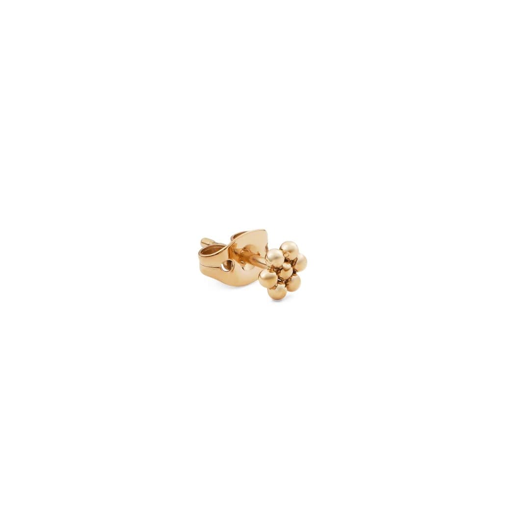 Daniel Wellington - Orecchino Flower Stud Gold - 2
