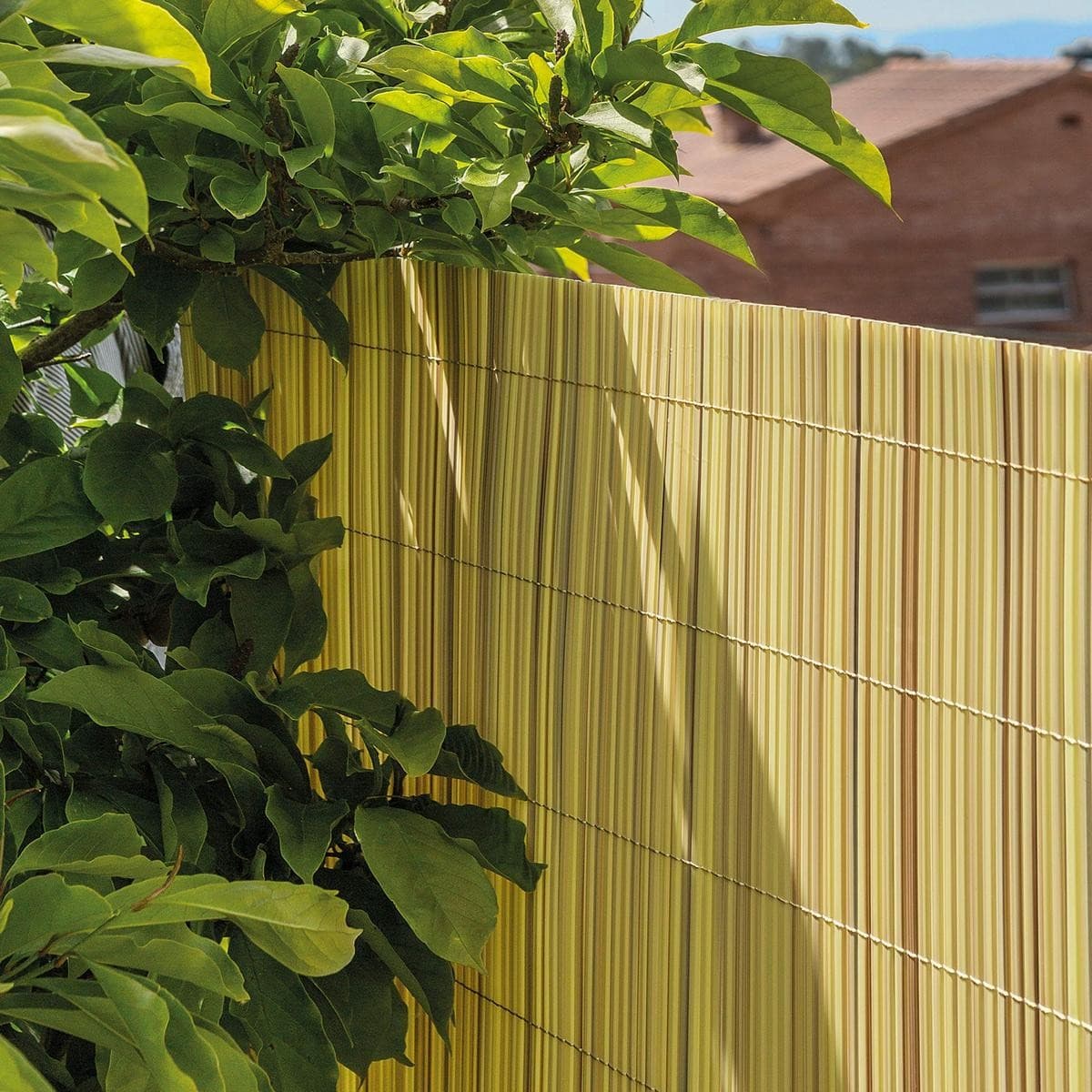 Tenax Colorado canniccio sintetico naturale 1 x 3 m - 6