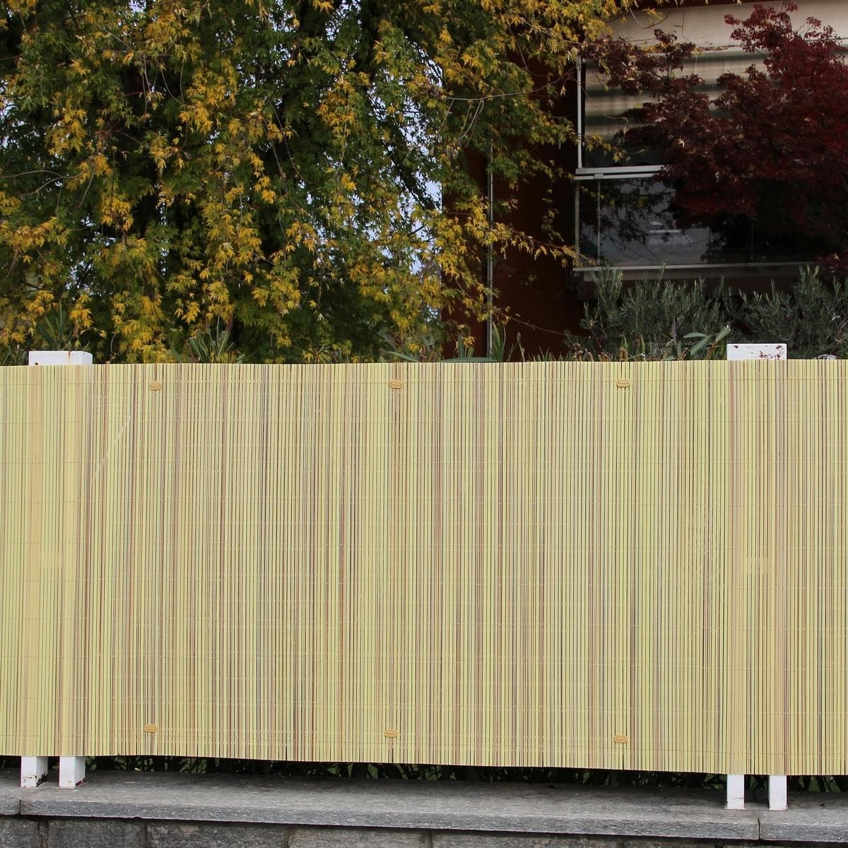 Tenax Colorado canniccio sintetico naturale 1 x 3 m - 7
