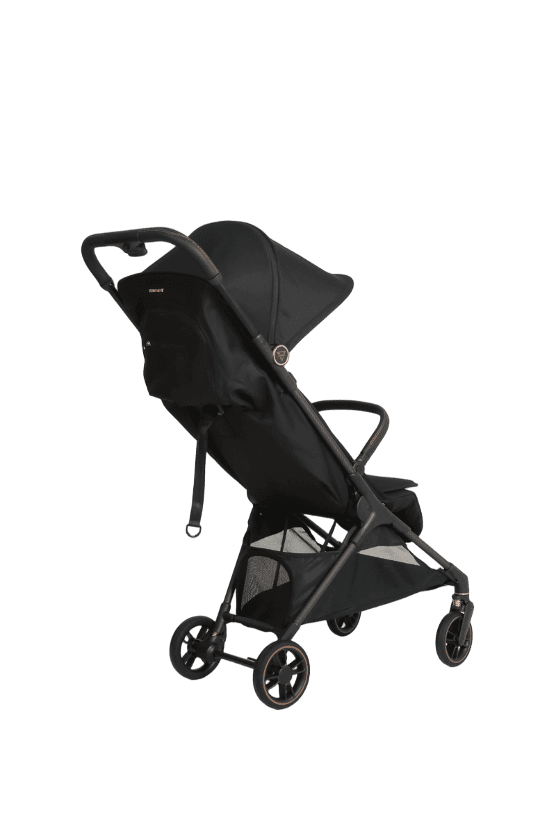 Passeggino Junama Aviator - 8