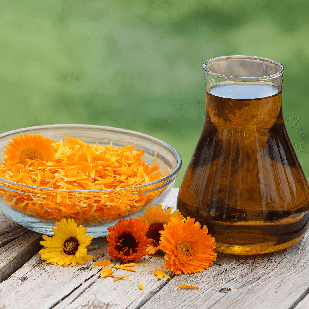 Oleolito di Calendula Biologico, cosmetico da 500 ml - 2