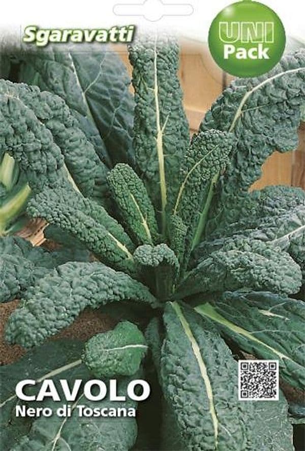 SEMI PER ORTAGGI E VEGETALI cavolo nero di Toscana- 20 pezzi  - SGARAVATTI - 2